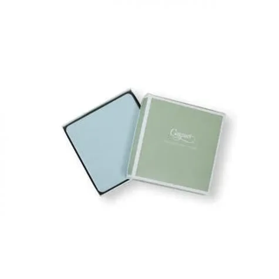 Soft Aqua Lizard Coasters - 8 Per Package