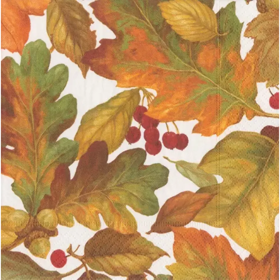 Autumn Leaves 2 Boxed Paper Cocktail Napkins, 40 Per Box