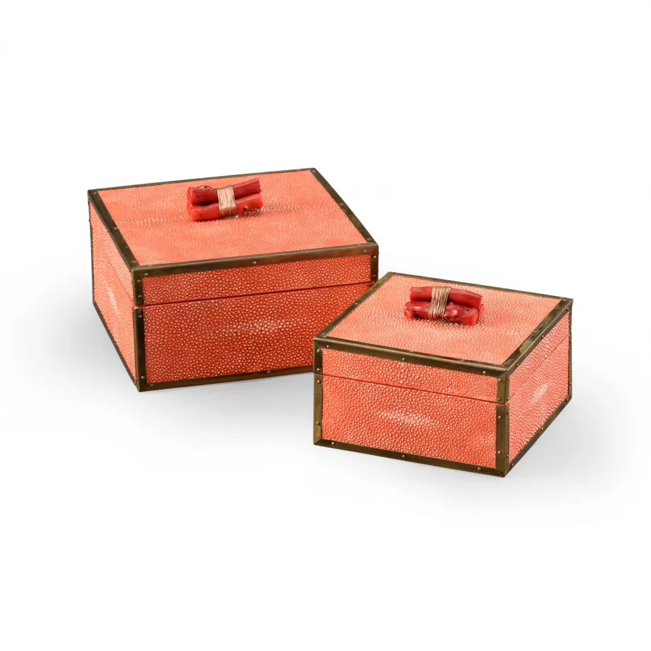 Coral Boxes Coral, Set of 2