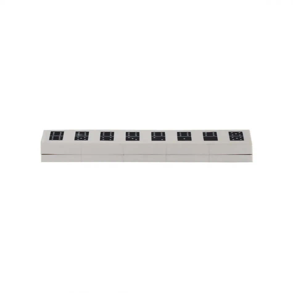 Domino Box With Chips