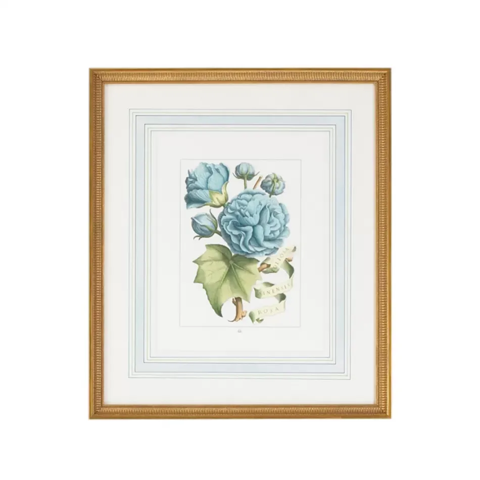 Blue Floral W/Ribbon B Hand Colored Engraving