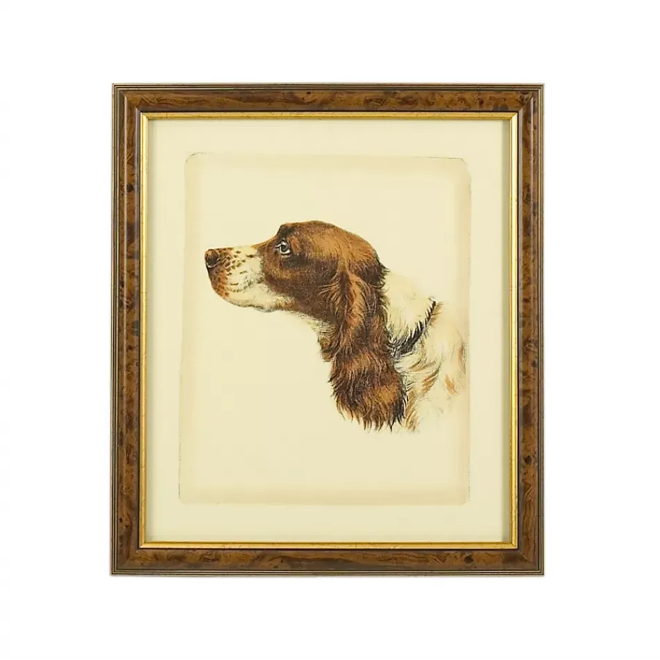 Danchin Cocker Spaniel Hand Colored Print