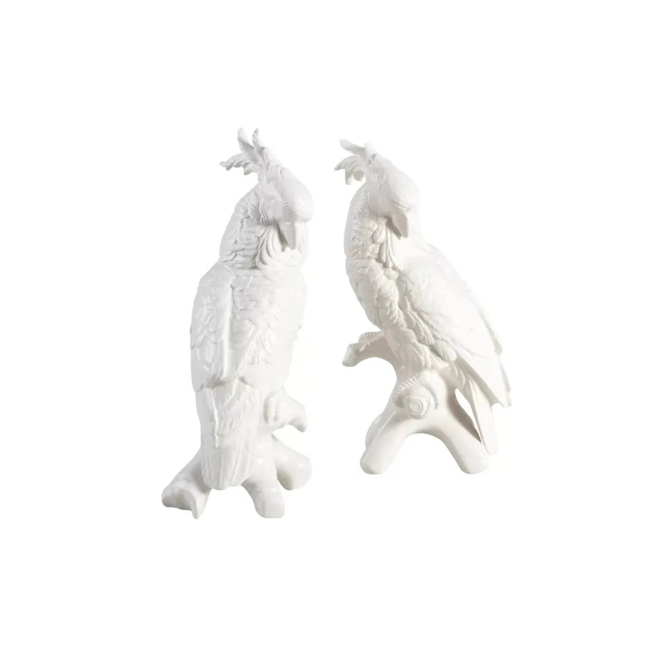 Cockatoos Pair