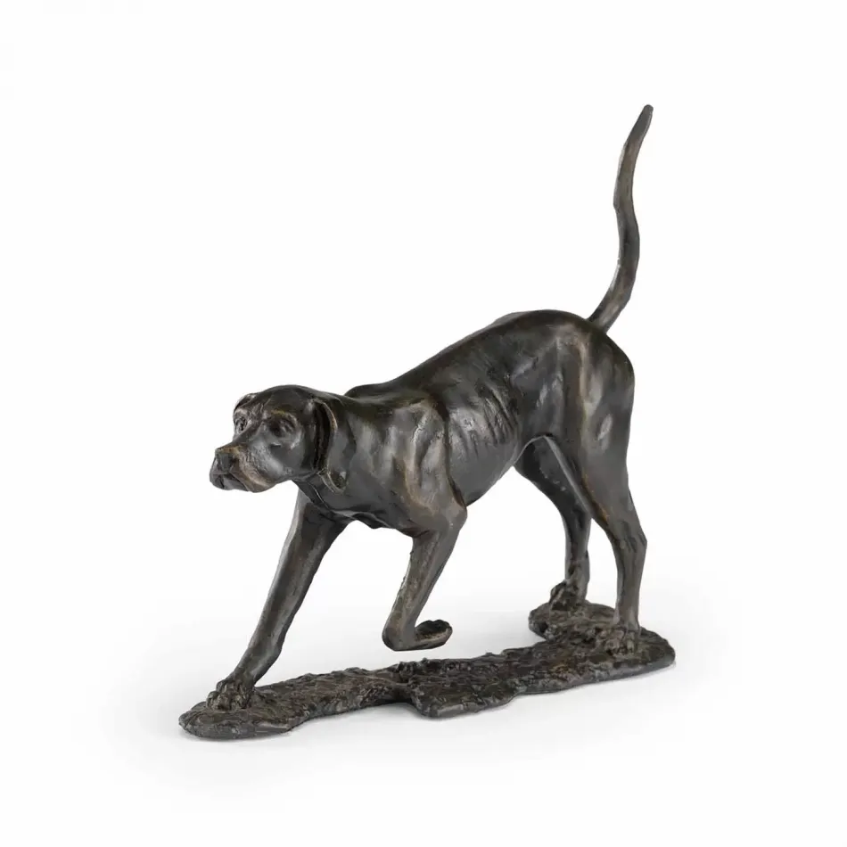 Pointer Bronze
