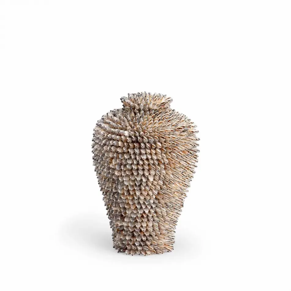 Strombus Shell Vase