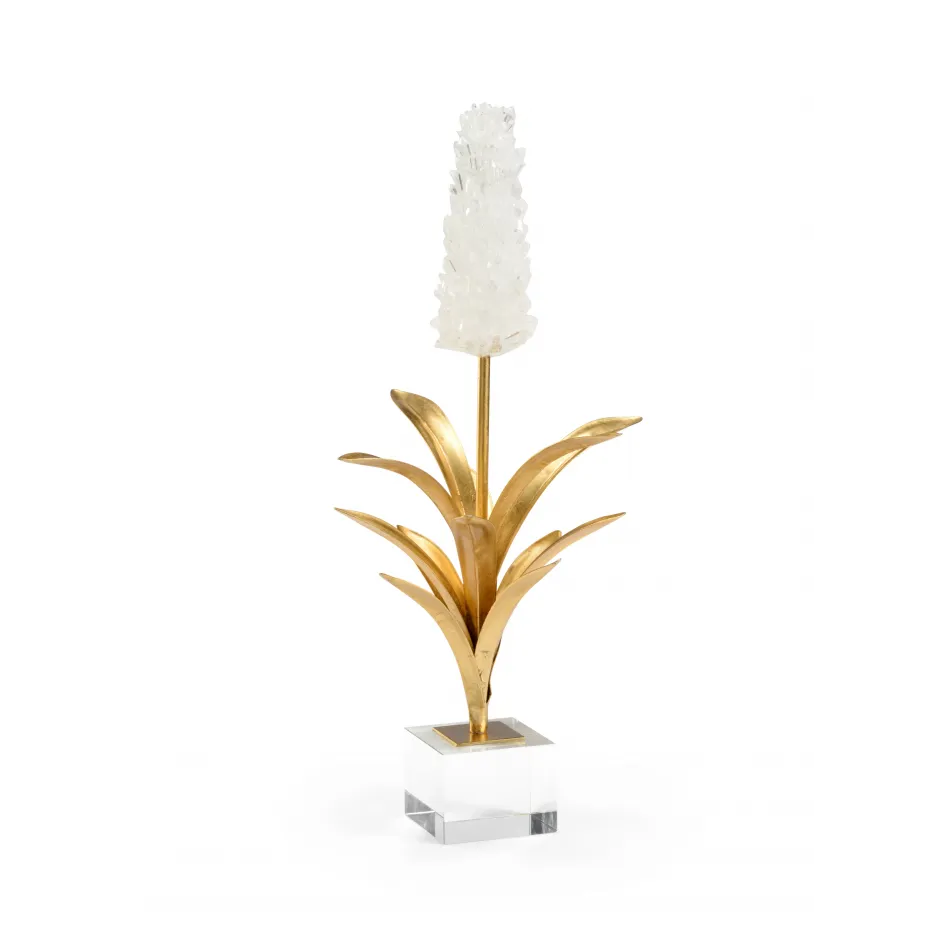 White Hyacinth