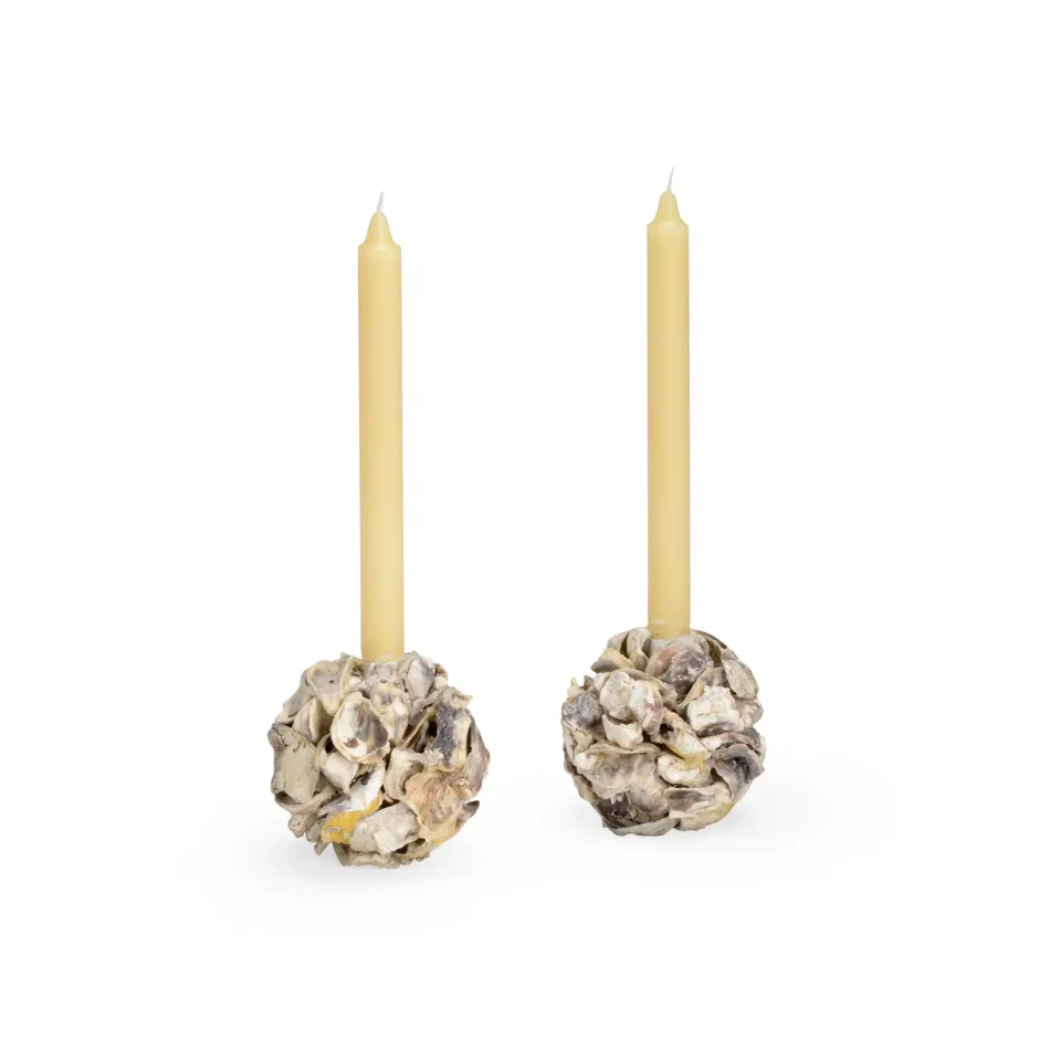 Oyster Shell Candleholder Pair