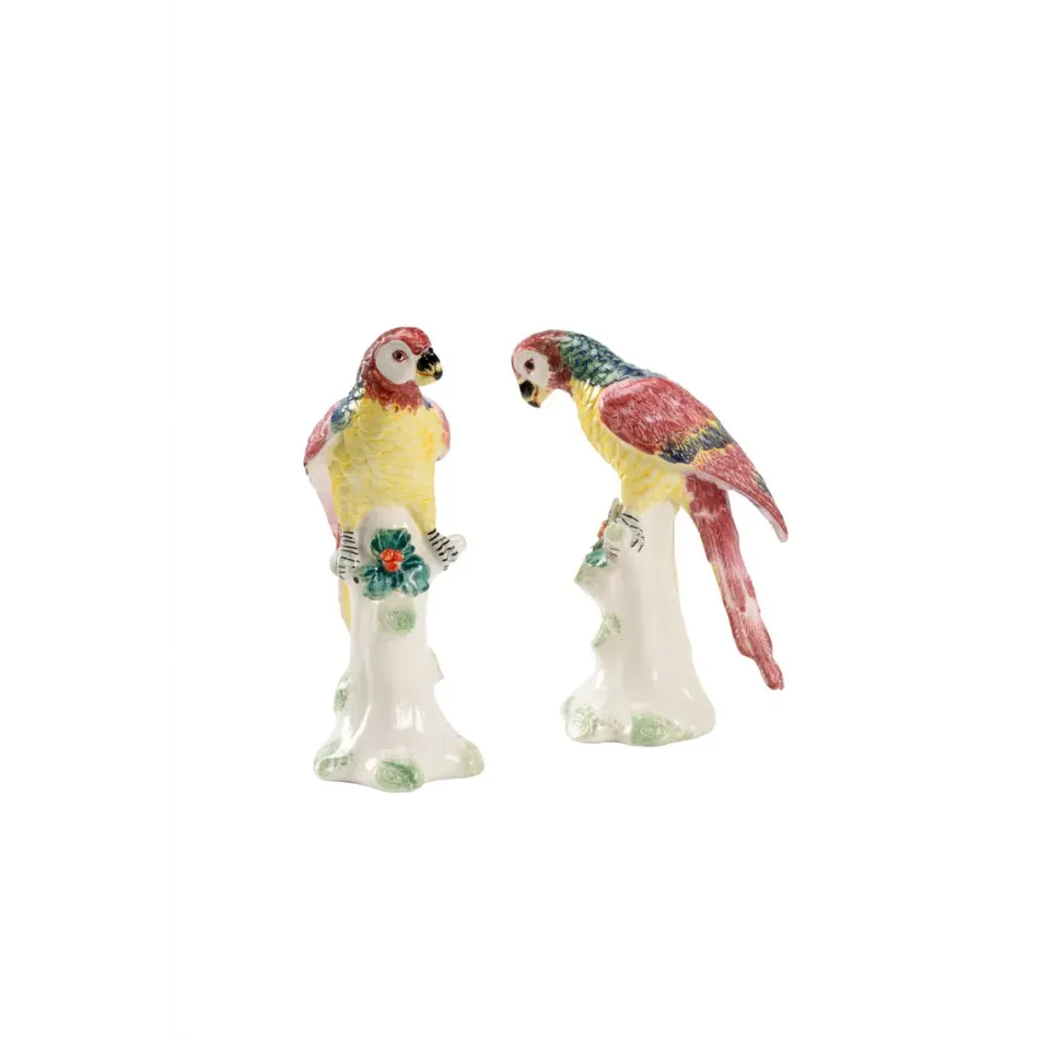Small Amazon Parrots Pair