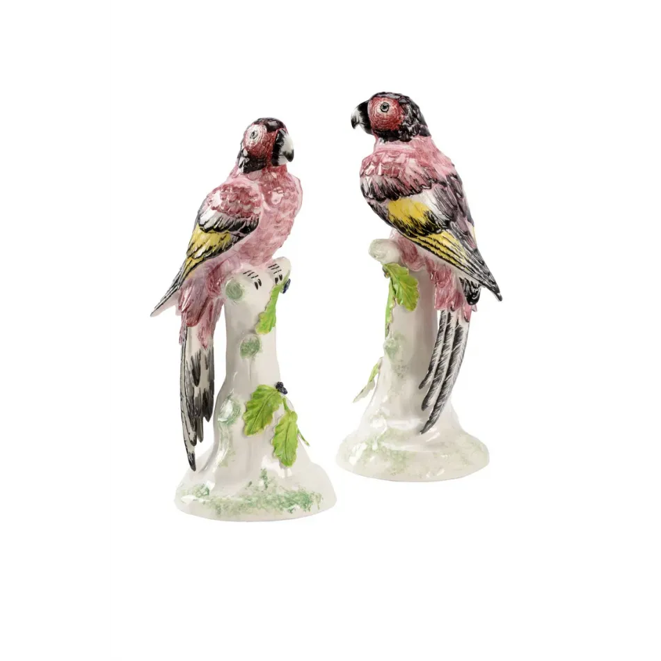 Large Kenya Parrots Pair