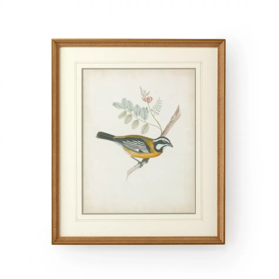 Delicate Birds V Giclee Print