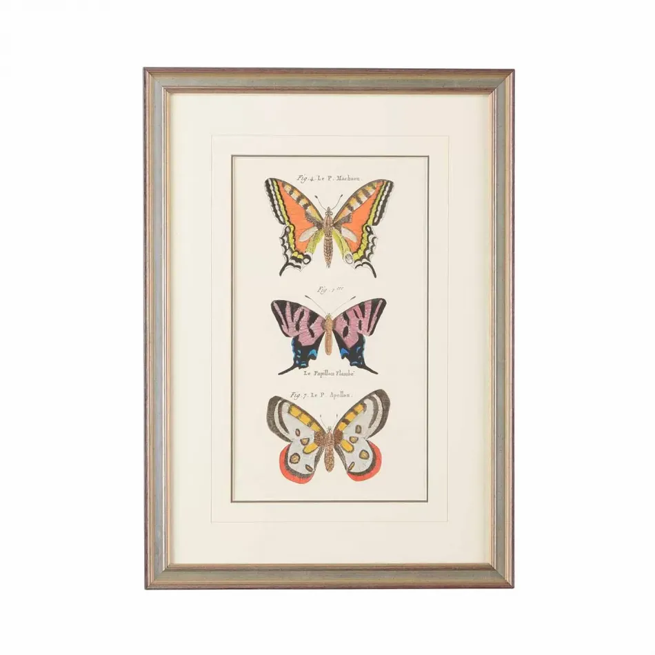 Vertical Butterfly II Hand Colored Lithograph Double Mat