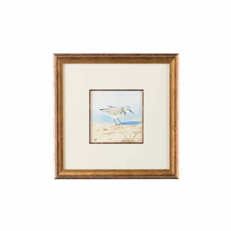 Sand Piper VI