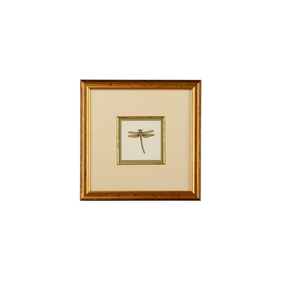 Miniature Dragonfly I