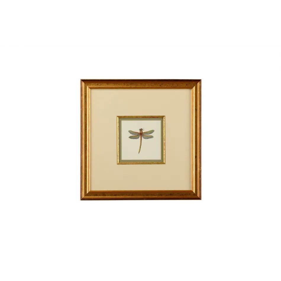 Miniature Dragonfly II