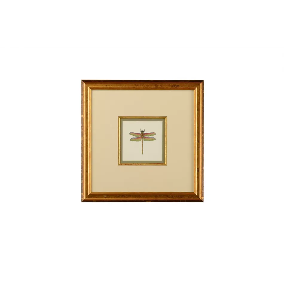 Miniature Dragonfly III