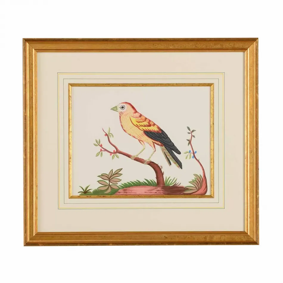 Yellow Wing/Rd Berry