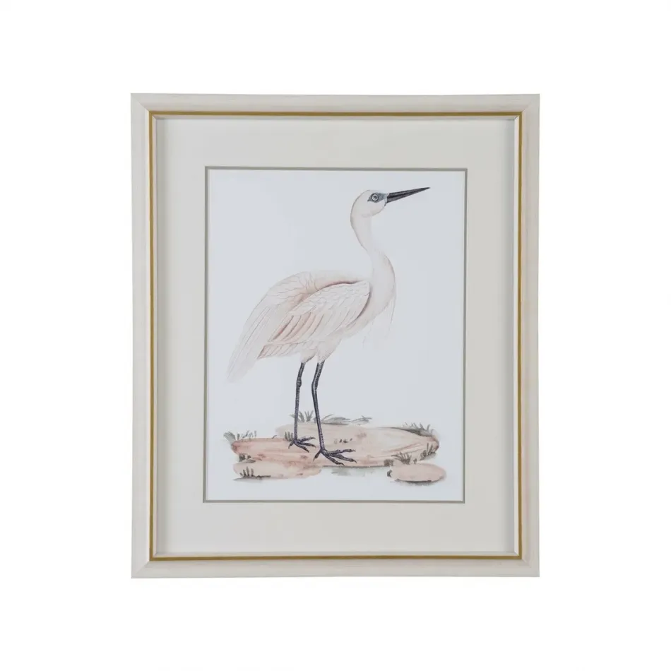 A White Heron II