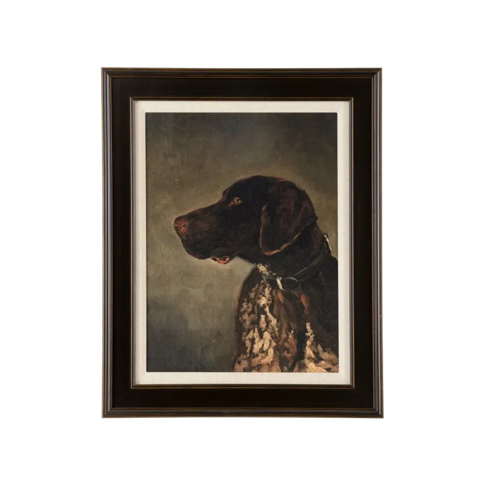 Hunting Dog