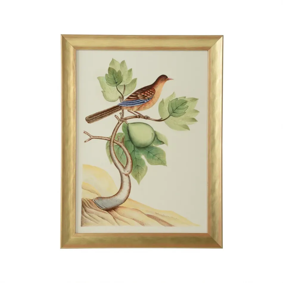 Watercolor Birds