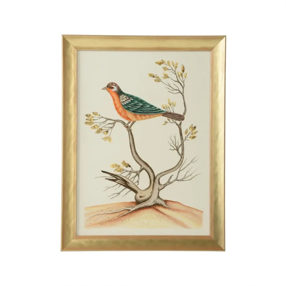 Watercolor Birds B