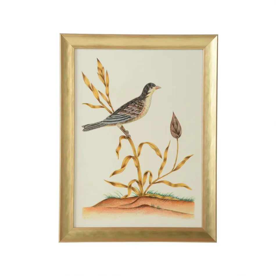 Watercolor Birds C