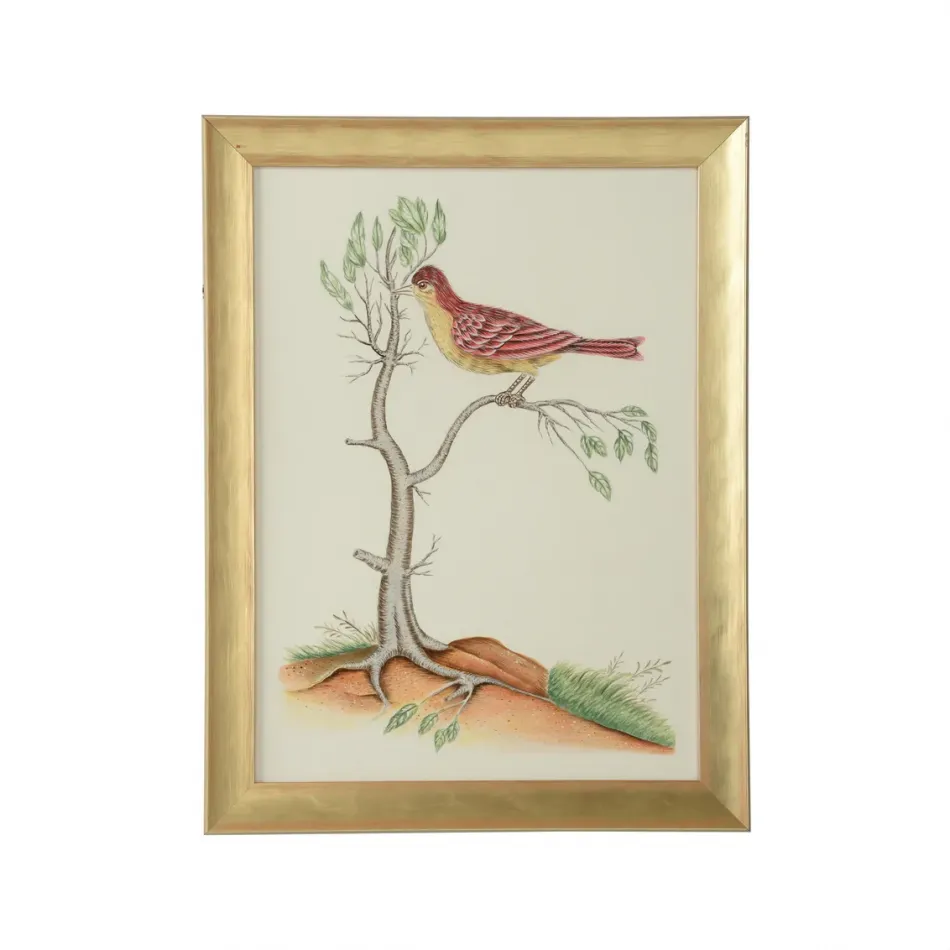 Watercolor Birds D