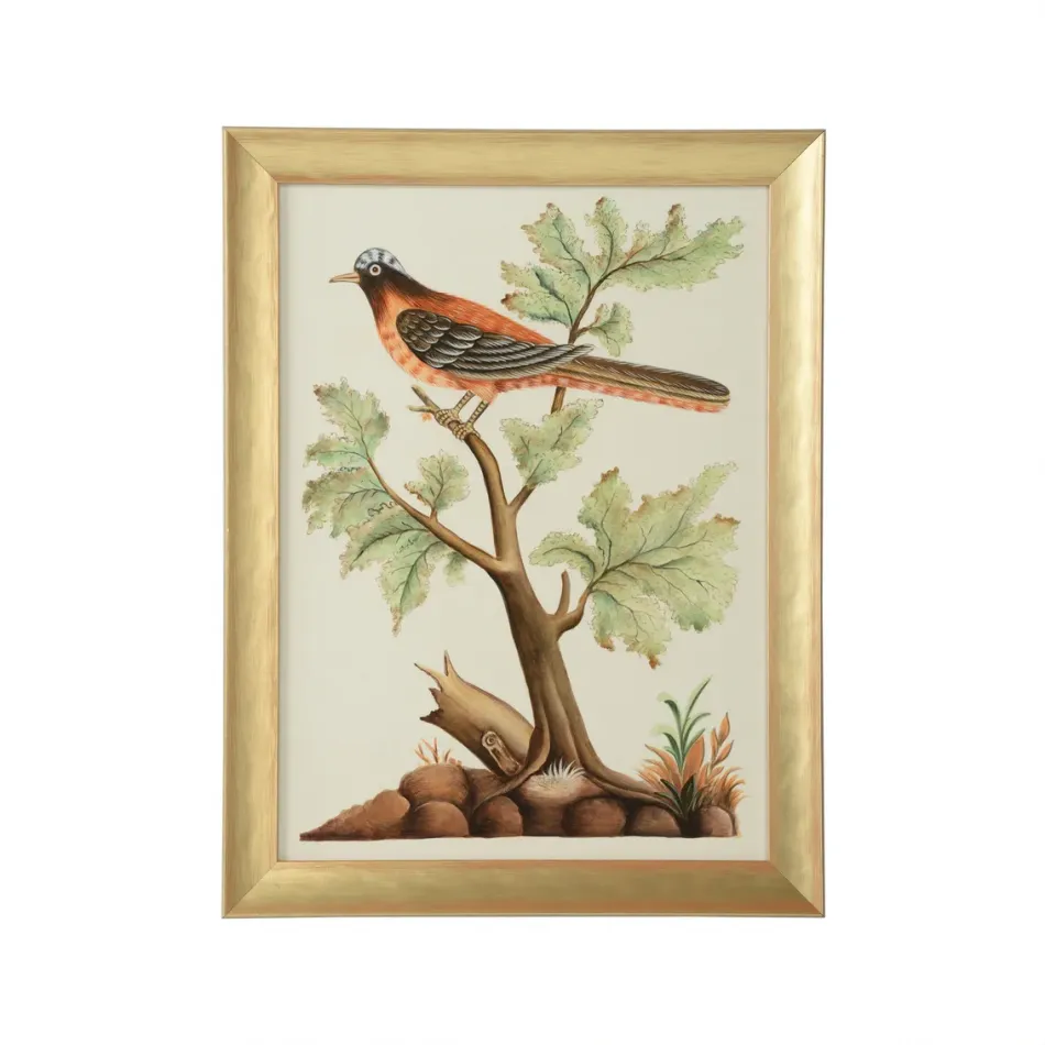 Watercolor Birds F