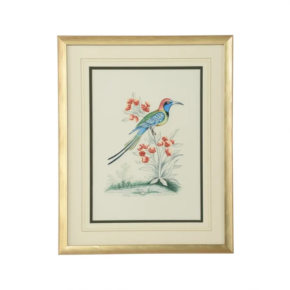 Cain Birds C