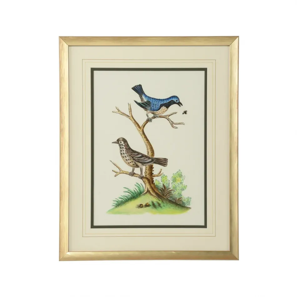 Cain Birds E