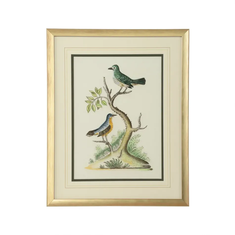 Cain Birds F