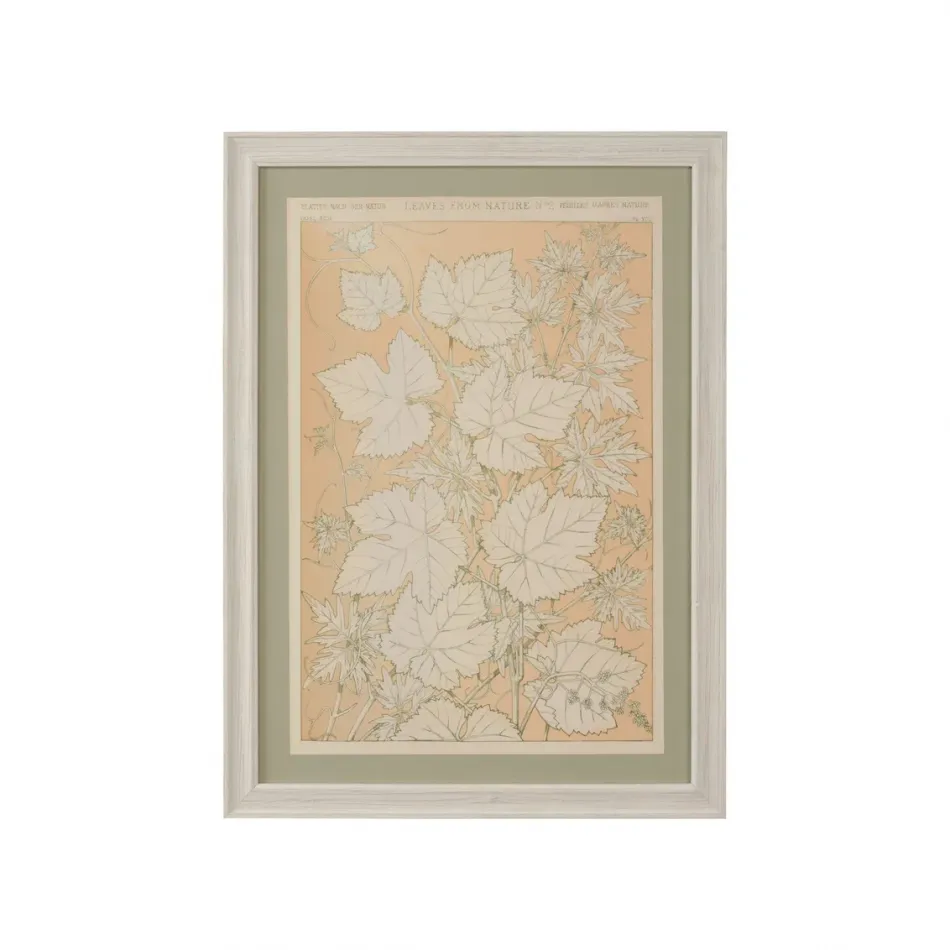 Leaves From Nature No.2