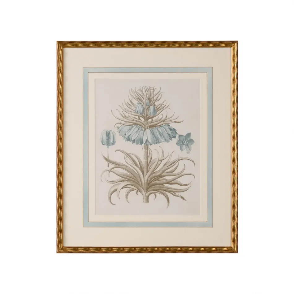 Besler Botanicals in Willow Blue II
