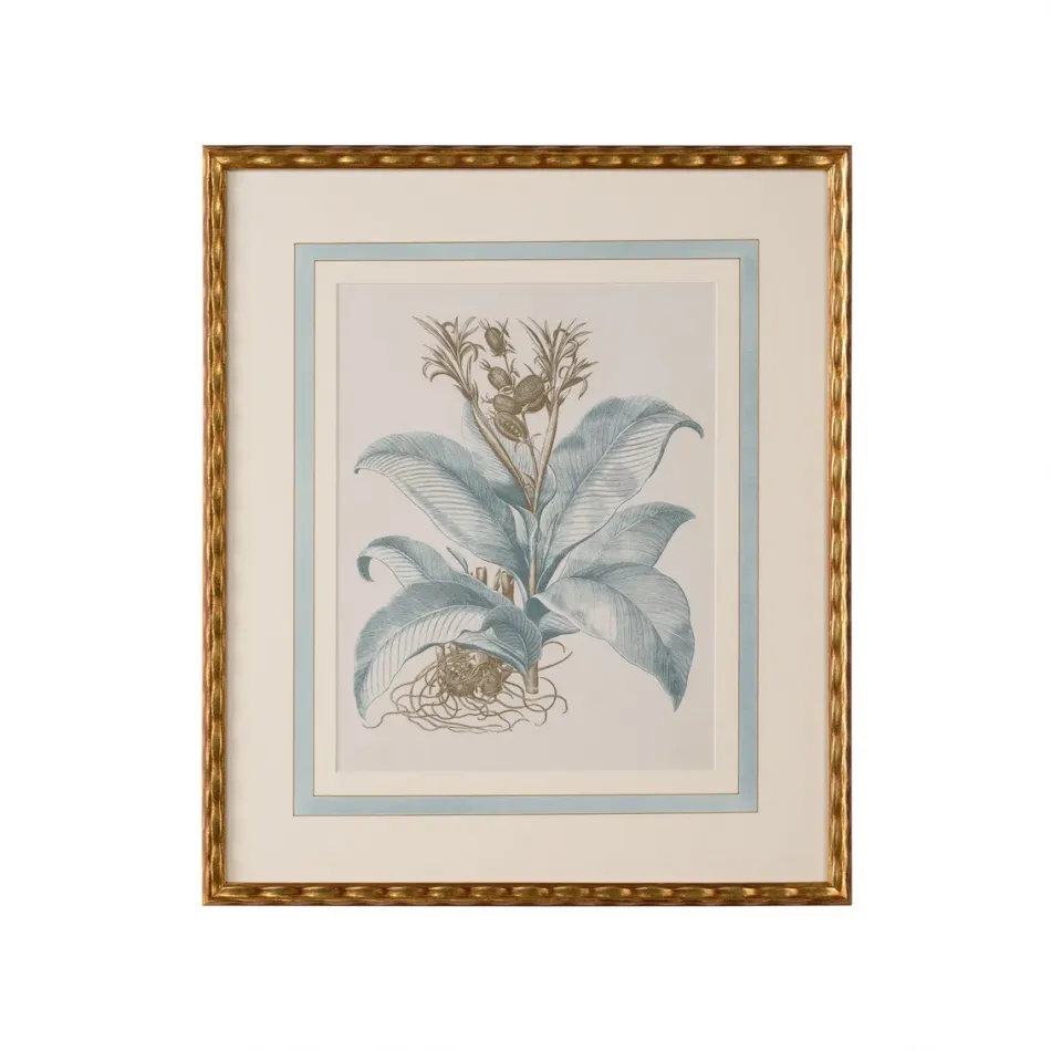 Besler Botanicals in Willow Blue III