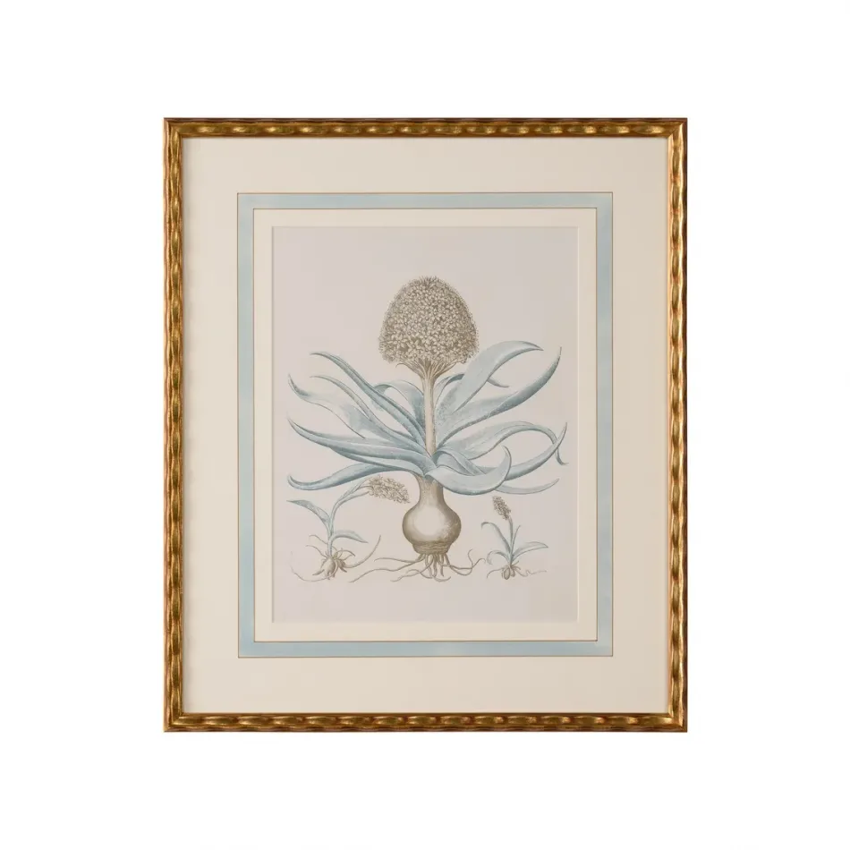 Besler Botanicals in Willow Blue IV