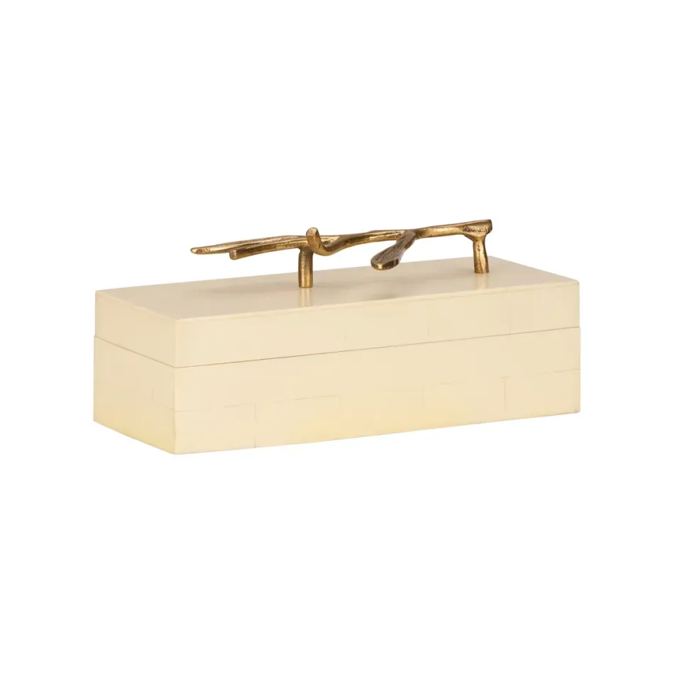 Branch Box