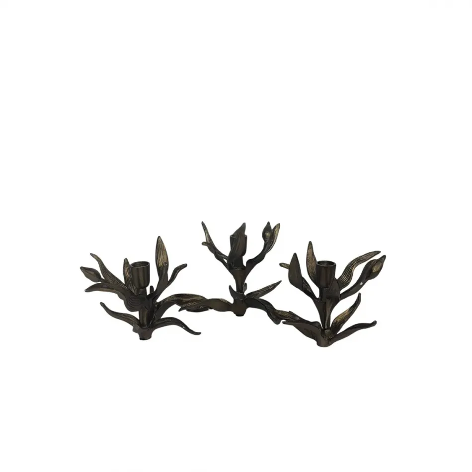 Bellatrix Candleholder