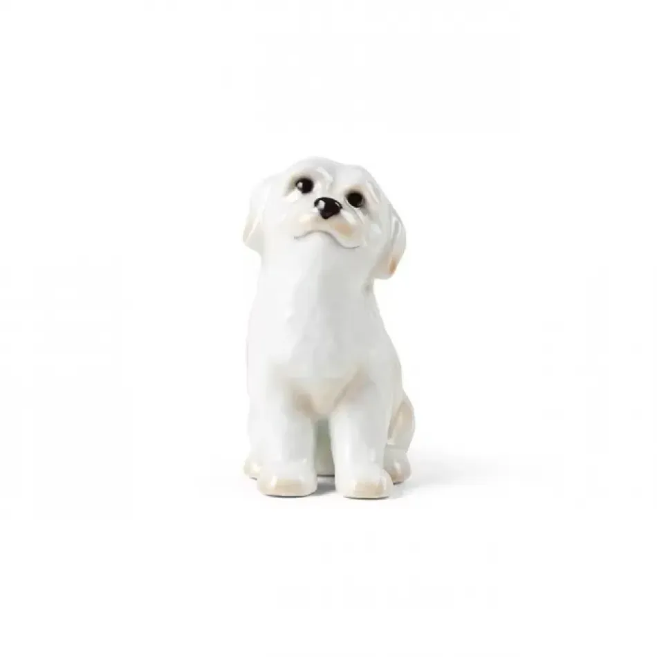 Blue Collectibles 2024 Figurine Dog 10.5cm 4.13"