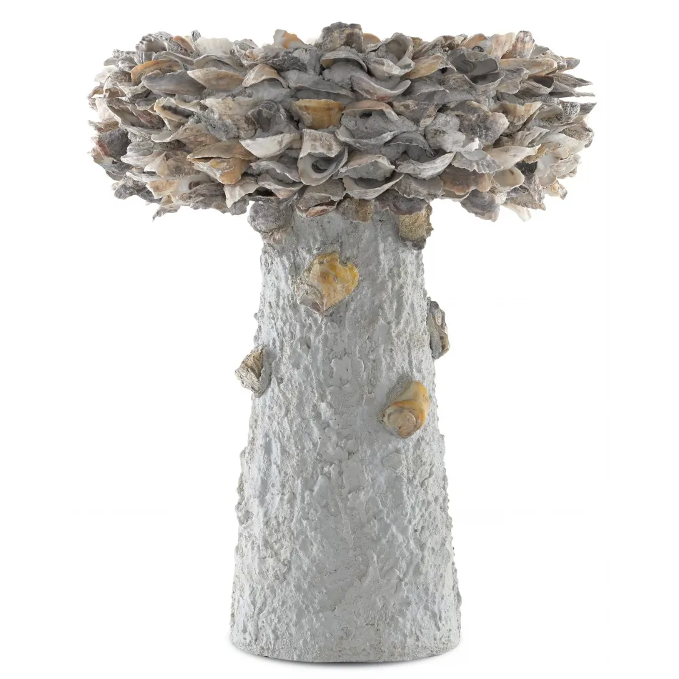 Oyster Shell Medium Bird Bath