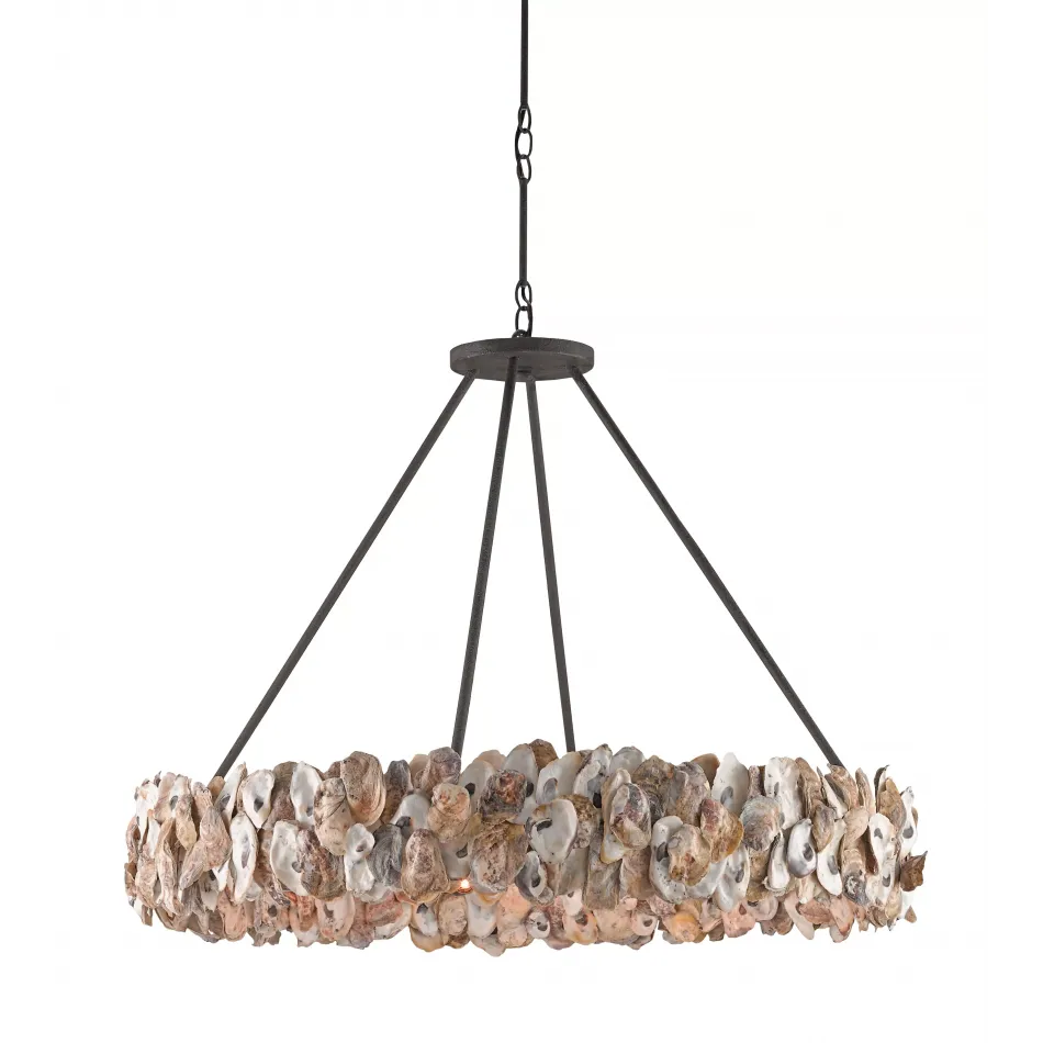 Oyster Chandelier