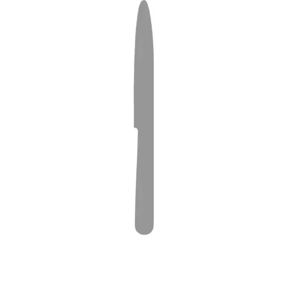 Alcantara Steel Polished Dinner Knife 9.3 in (23.5 cm)