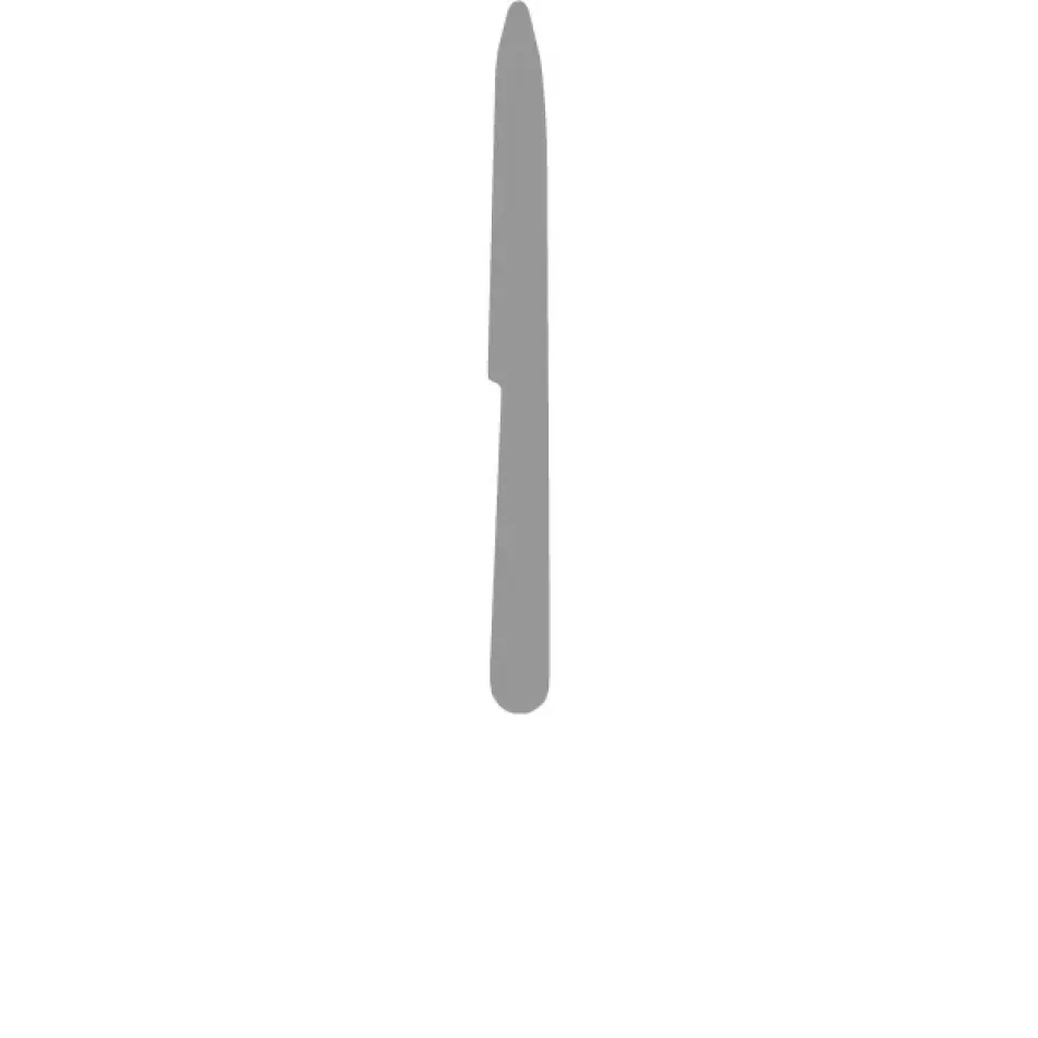 Alcantara Steel Polished Dessert Knife 7.9 in (20 cm)