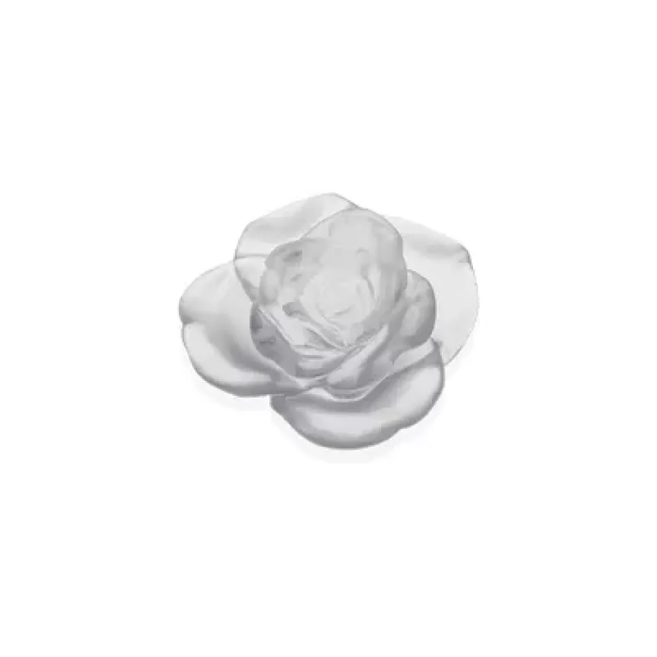 Rose Passion White Flower (Special Order)