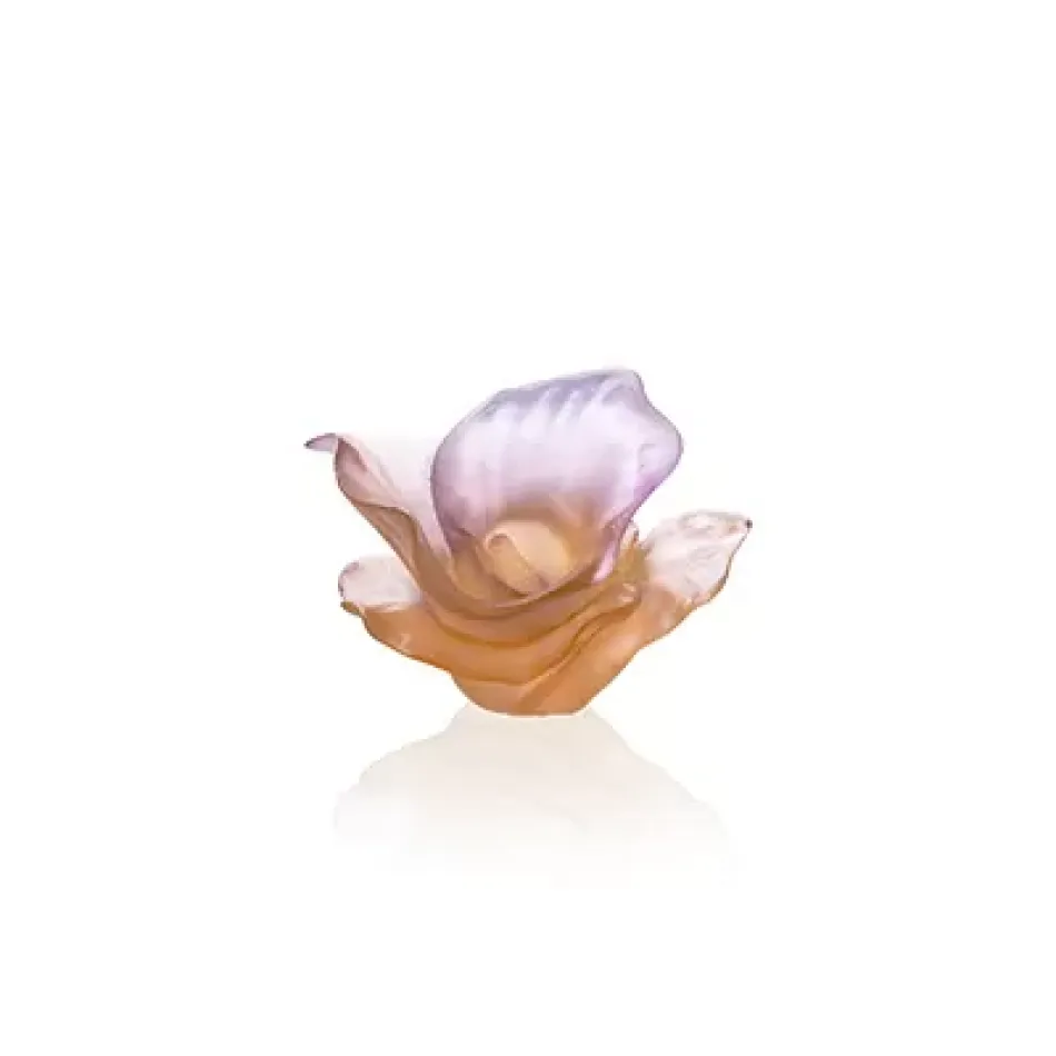 Arum Rose Decorative Flower (Special Order)