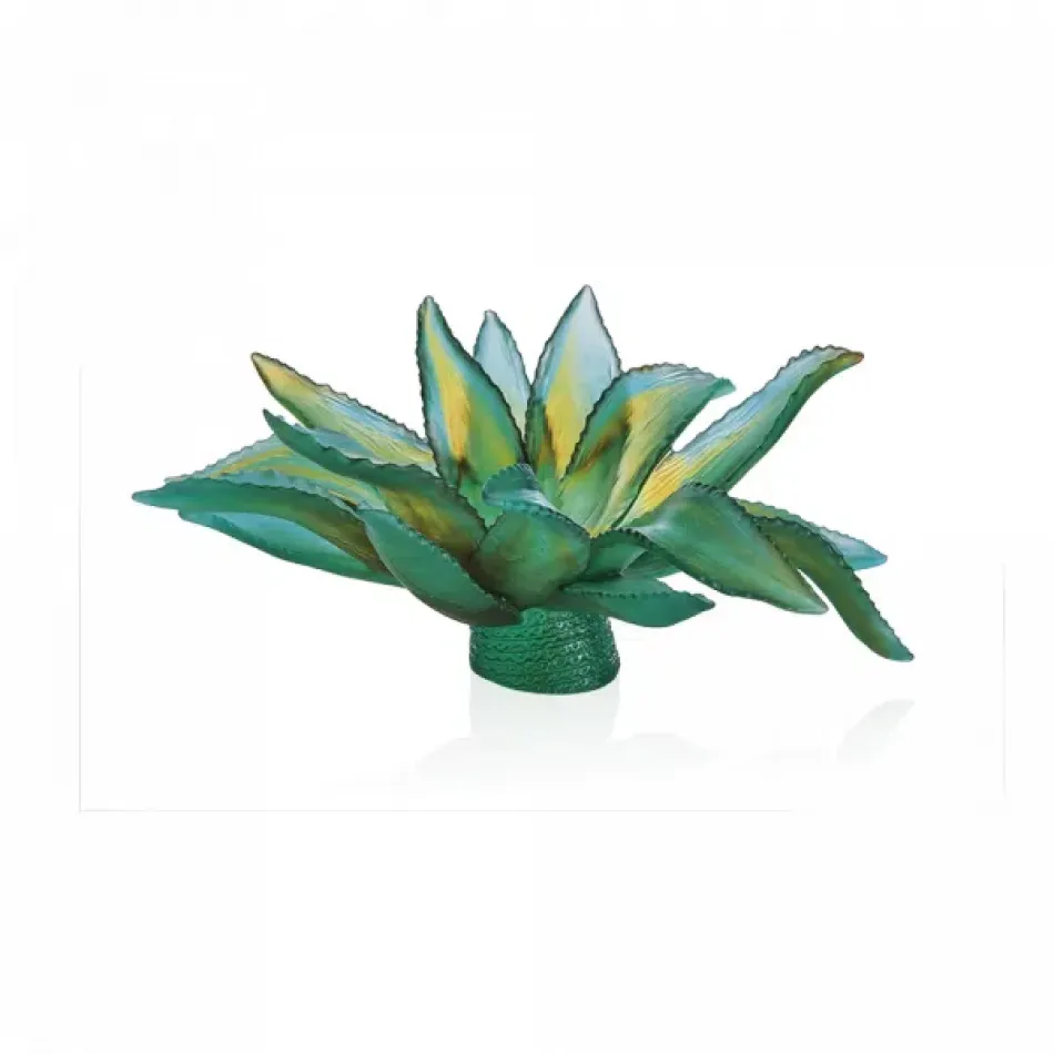 Jardin De Cactus Emilio Robba Green Agave Centrepiece (Special Order)