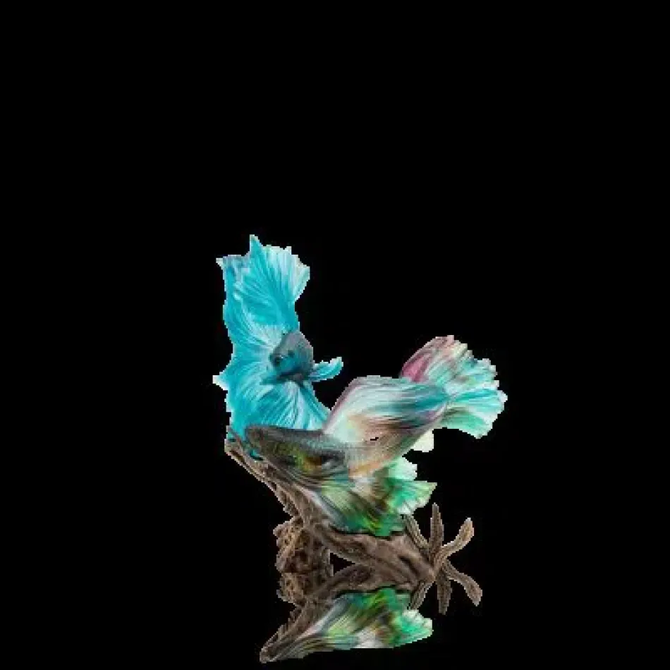 Mer De Corail The Dance Of The Fighters (Special Order)