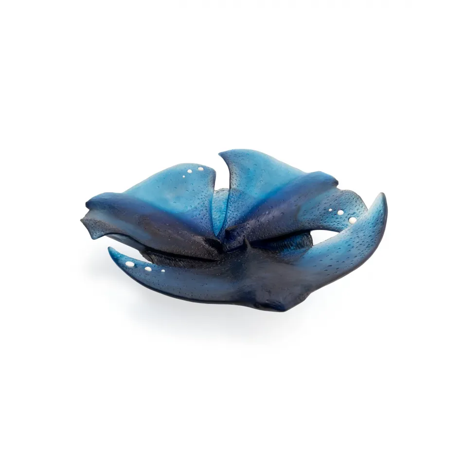 Maya Rays Centerpiece