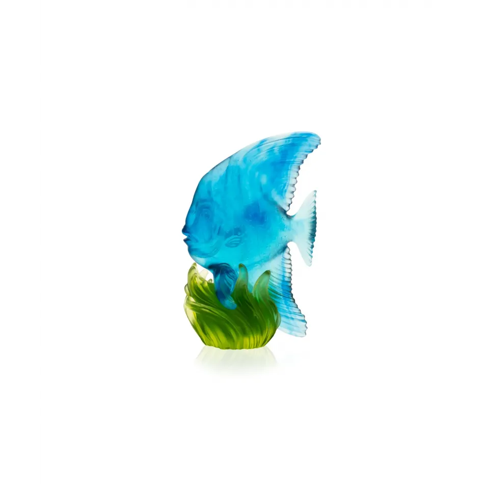 Maya Medium Blue & Green Platax Fish