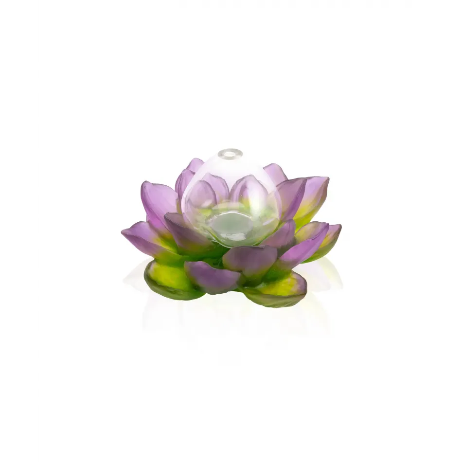 Jardin de Lotus Green Pink Soliflore