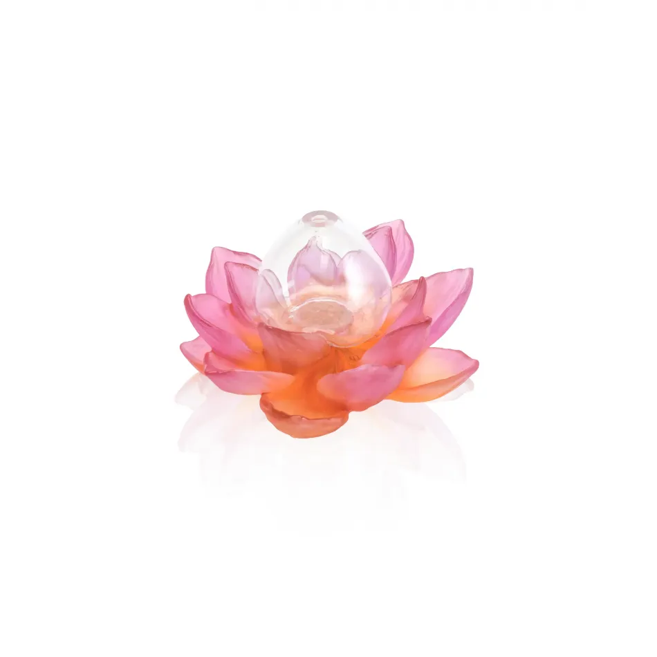 Jardin de Lotus Amber Pink Soliflore