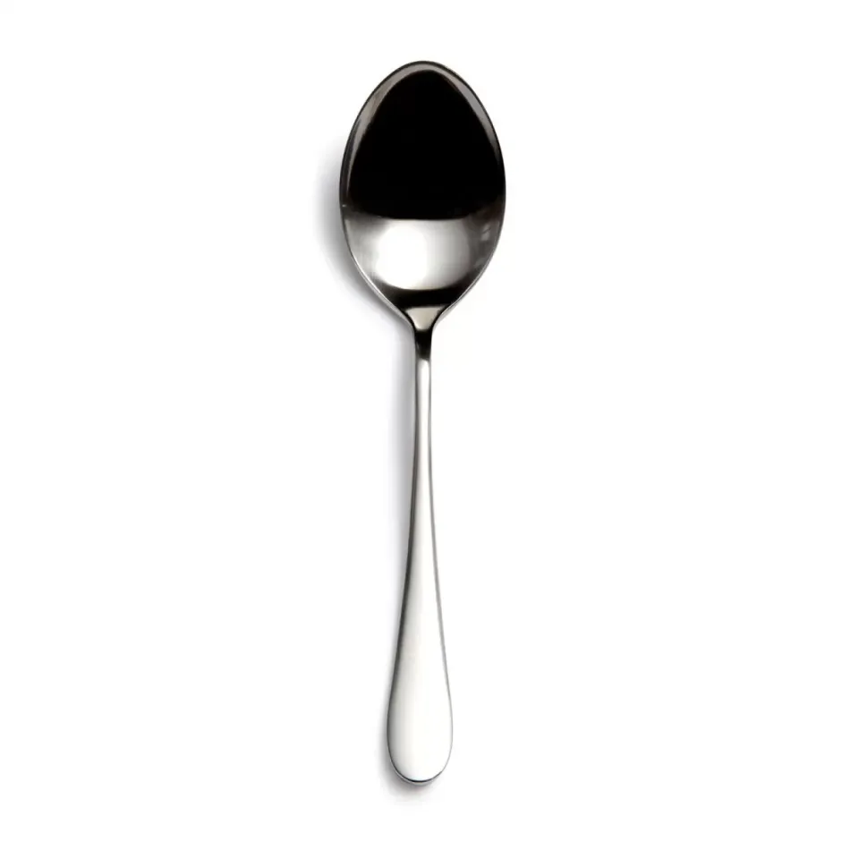 Paris Stainless Serving Spoon